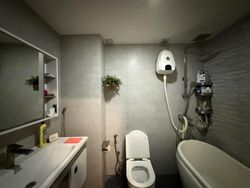 The Sunny Spring (D14), Apartment #603136231